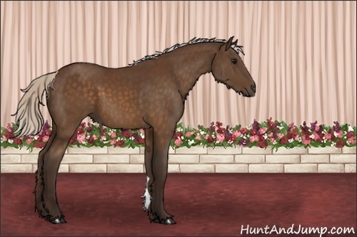 Horse Color:Silver Buckskin