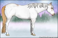 Horse Color:White Spotted Chestnut Frame 