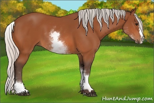 Horse Color:White Spotted Silver Bay Splash 