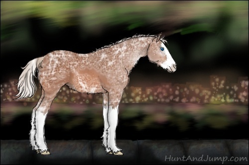 Horse Color:ERROR: UNKNOWN ANOMALY