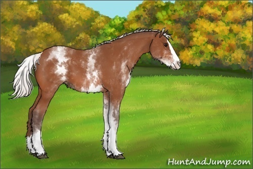 Horse Color:White Spotted Silver Bay Splash 