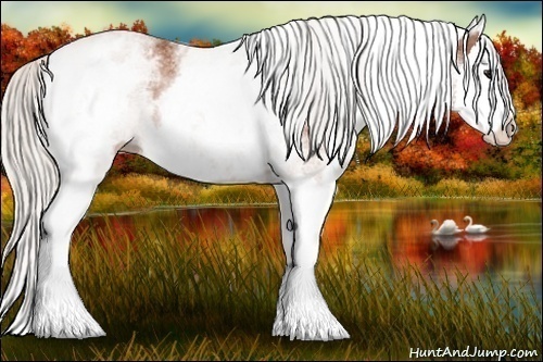 Horse Color:White Spotted Silver Bay Splash
