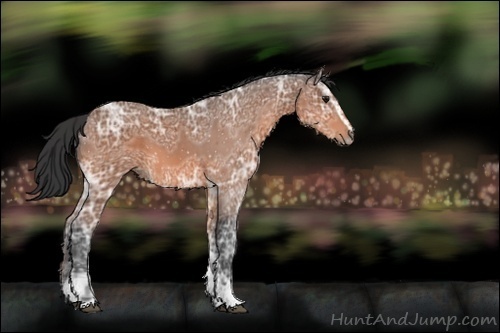 Horse Color:ERROR: UNKNOWN ANOMALY