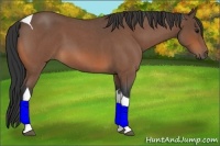 Horse Color:Bay Roan Tobiano 