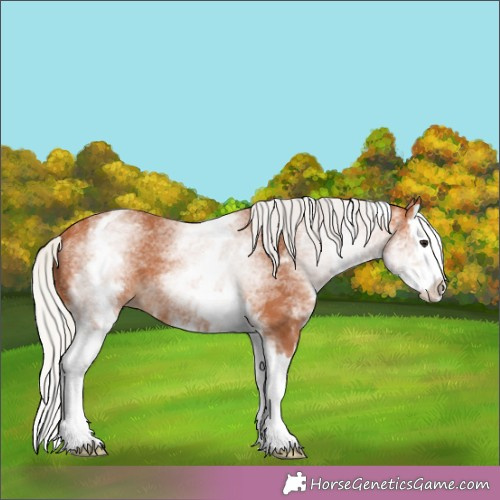 Horse Color:White Spotted Silver Bay Splash 