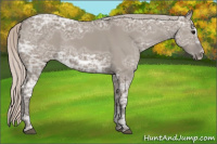 Horse Color:Silver Grullo Ice Frame Rabicano
