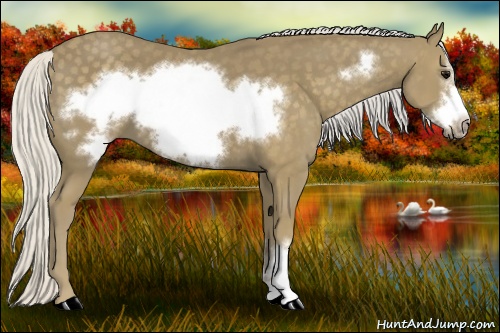 Horse Color: Silver Smoky Black Frame 