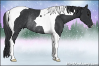 Horse Color:Brown Tobiano Rabicano