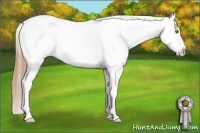Horse Color:Red Roan Pearl Blanket 
