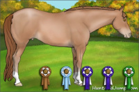 Horse Color:Bay Pearl 