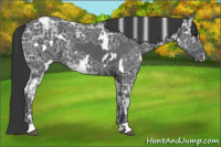 Horse Color:White Spotted Black Ice 