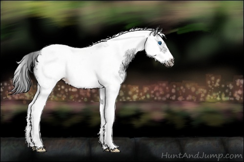 Horse Color:ERROR: UNKNOWN ANOMALY