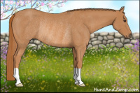 Horse Color:Chestnut Rabicano 