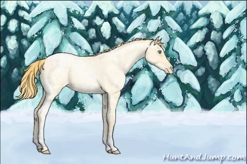 Horse Color:Smoky Blue Ice Roan Pearl 