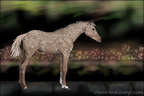 Horse Color:Silver Grullo Ice 