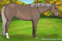 Horse Color:Silver Black 