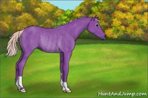 Horse Color:Gray Watercolor Silver Black Rabicano 