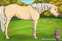 Horse Color:Palomino 