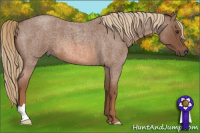 Horse Color:Liver Red Roan 