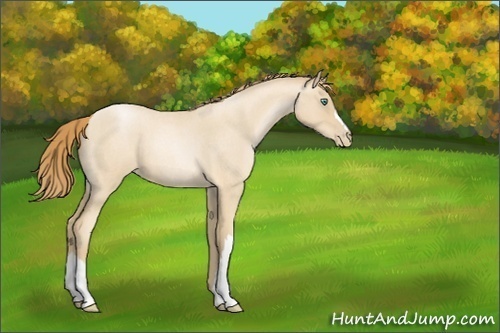 Horse Color:Smoky Blue Roan Pearl 