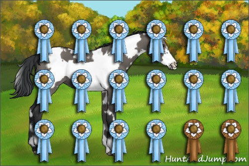 Horse Color:White Spotted Grullo Frame 