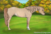 Horse Color:Red Dun Roan 