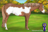 Horse Color:Chestnut Frame 