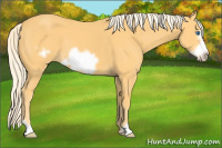 Horse Color:Palomino Frame 