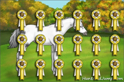 Horse Color:Black Sabino Frame