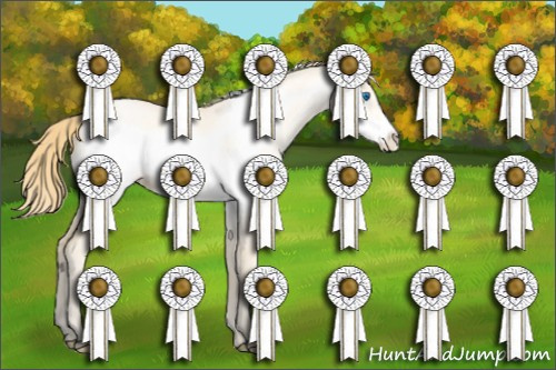 Horse Color:Buckskin Pearl Dun Frame 