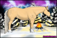 Horse Color:Palomino Tobiano Rabicano 