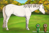 Horse Color:White Spotted Perlino Dun Sabino 
