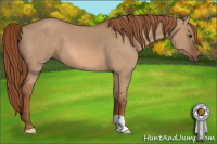 Horse Color:Liver Red Dun 