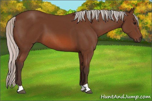 Horse Color: Silver Bay 