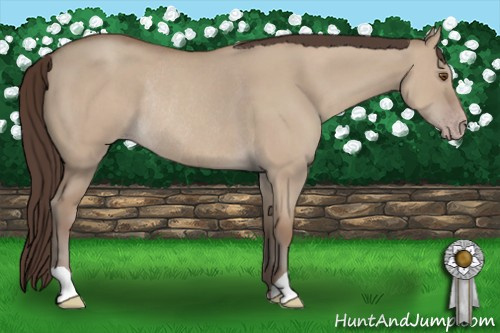 Horse Color: Sable Champagne Dun Rabicano 