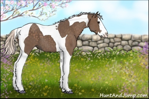 Horse Color:Silver Black Splash Tobiano 