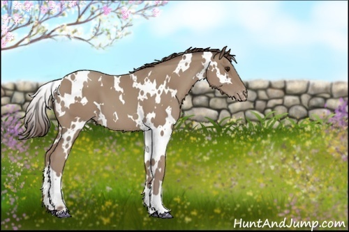 Horse Color:White Spotted Classic Champagne Varnish 