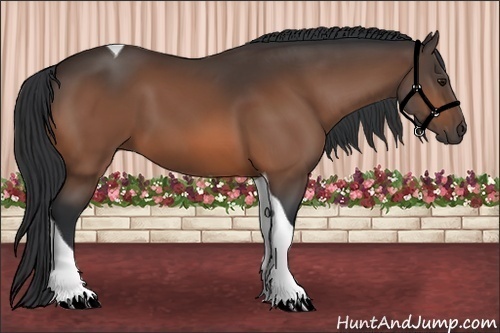 Horse Color: Bay Tobiano 