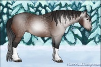 Horse Color:Unknown 