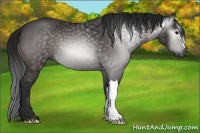 Horse Color:Gray Brown 