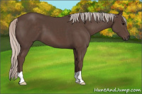Horse Color:Silver Brown 