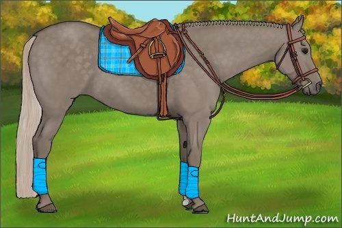 Horse Color:Silver Grullo 