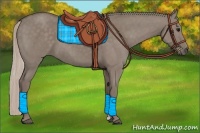 Horse Color:Silver Grullo 