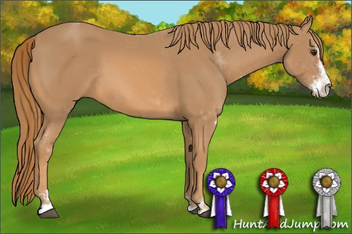 Horse Color: Chestnut Sabino 