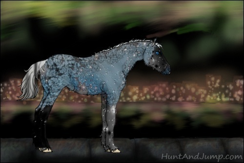 Horse Color:ERROR: UNKNOWN ANOMALY