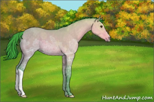 Horse Color:Unknown