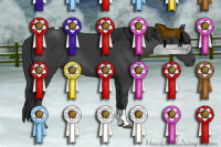 Horse Color:Brown Tobiano Rabicano 