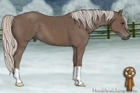 Horse Color:Silver Black 
