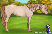 Horse Color:Gold Champagne Roan 