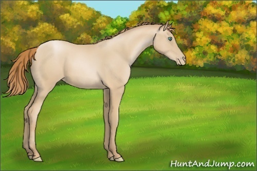 Horse Color:Smoky Black Pearl 